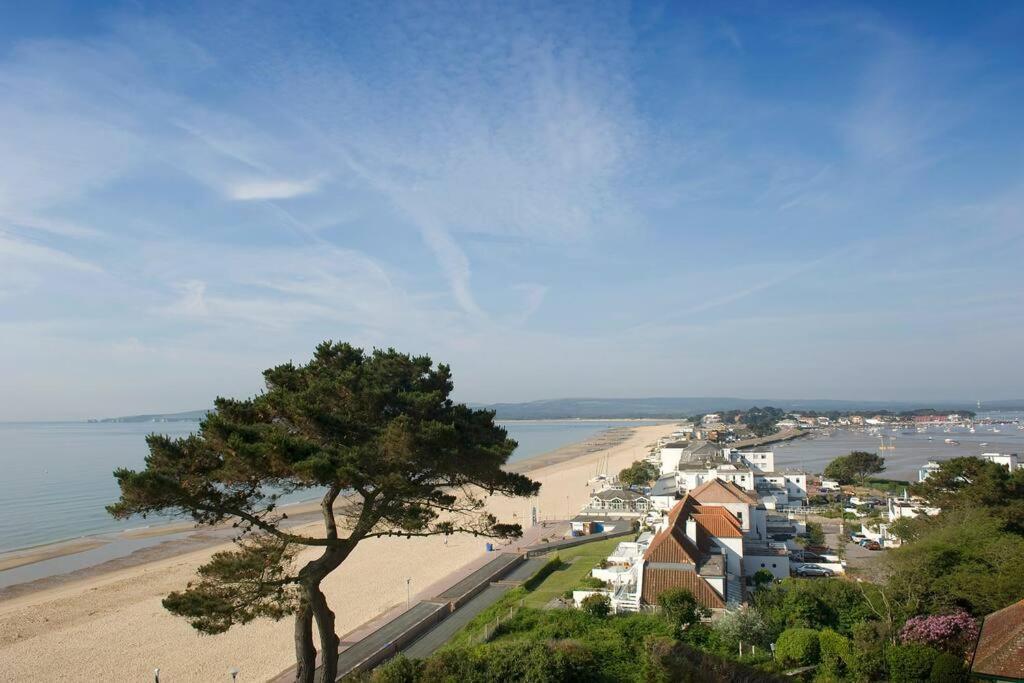 בורנמות' Bournecoast: Lovely Annex With Patio Nr Beach-5286 מראה חיצוני תמונה